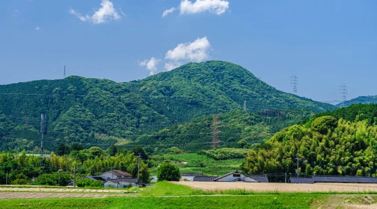 ローカルリレーションシップ