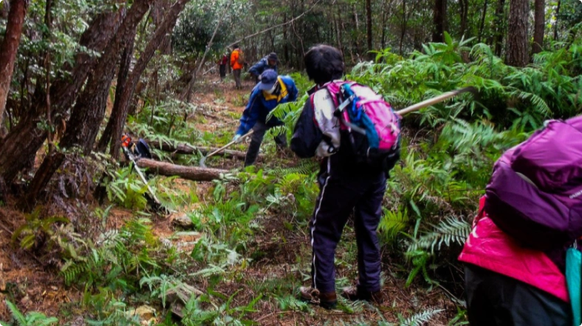 地域との共存を形にしたプロジェクト南伊勢町太陽光発電所（三重県）
