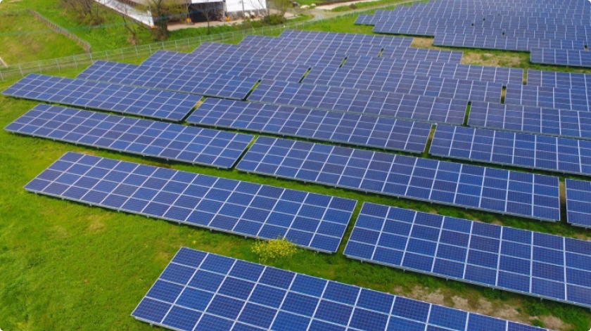 合志農業活力プロジェクト（熊本県）