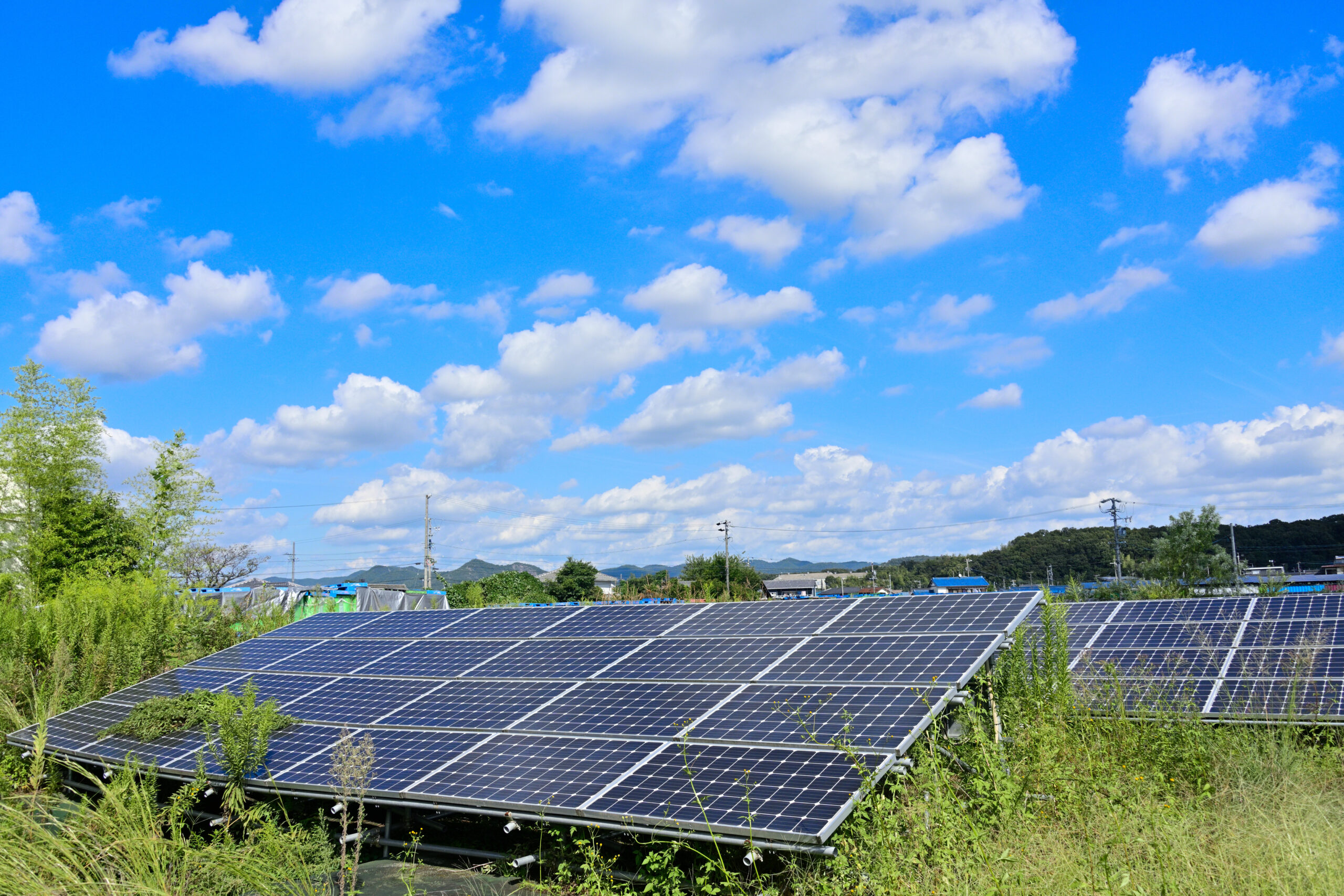 虫や小動物、植物による太陽光発電設備のトラブルとは？